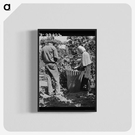 2-48_Dorothea-Lange_blk-crop