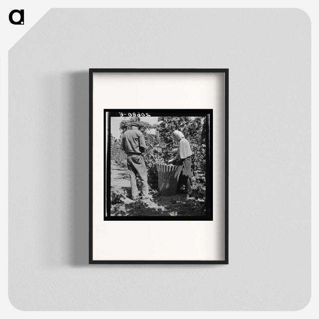 2-48_Dorothea-Lange_blk