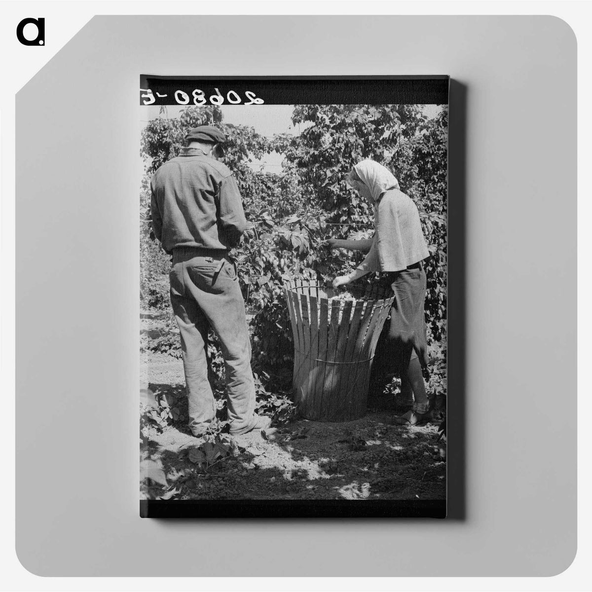2-48_Dorothea-Lange_canvas