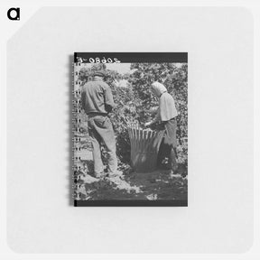 アートメモ帳-Untitled photo - ドロテア ラング Memo.