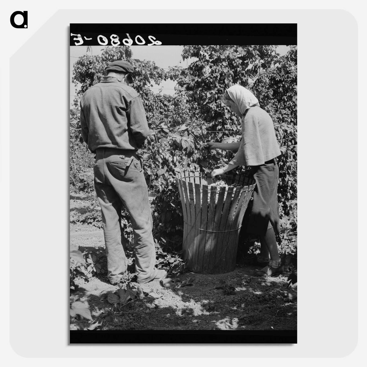 2-48_Dorothea-Lange_picture-crop