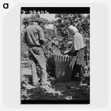 2-48_Dorothea-Lange_picture-crop