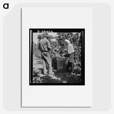 2-48_Dorothea-Lange_picture