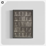 2-48_Eadweard-Muybridge_blk-crop