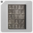 2-48_Eadweard-Muybridge_canvas