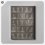 2-48_Eadweard-Muybridge_canvas