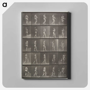 2-48_Eadweard-Muybridge_canvas