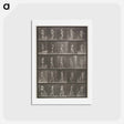 アートポストカード-Child in Motion
 - エドワード マイブリッジ Postcard.