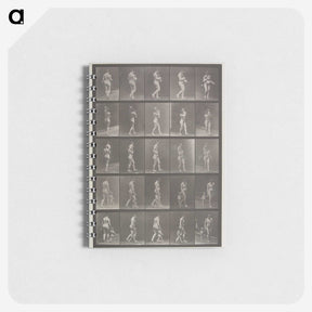 2-48_Eadweard-Muybridge_memo