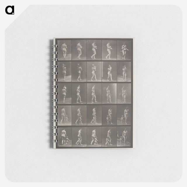 2-48_Eadweard-Muybridge_memo