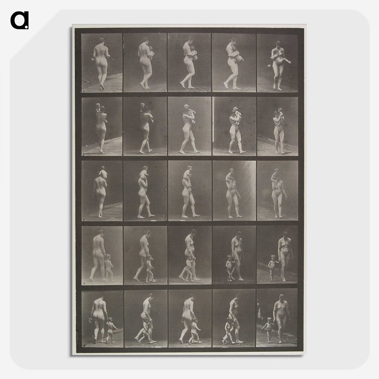 2-48_Eadweard-Muybridge_picture-crop