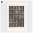 2-48_Eadweard-Muybridge_picture