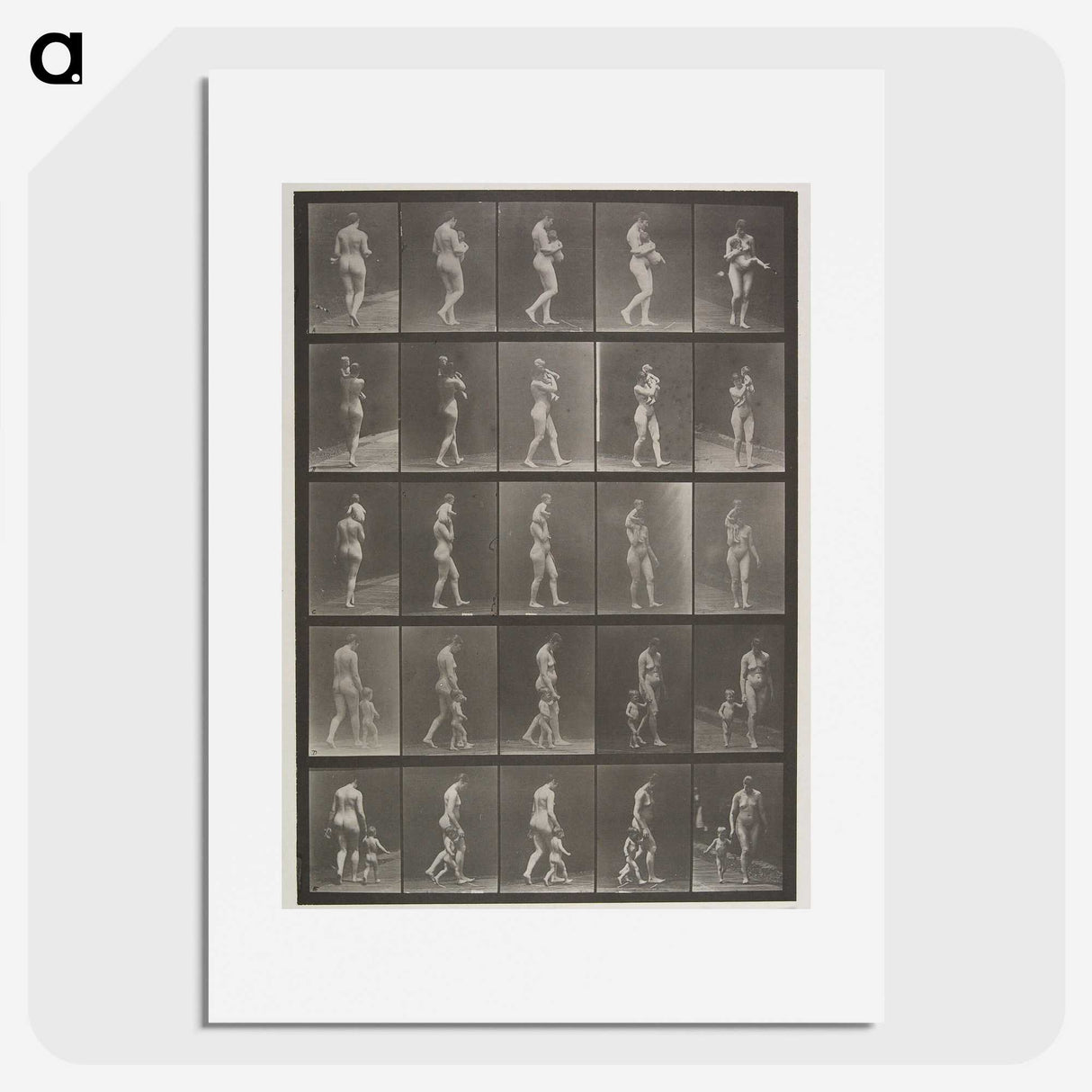 2-48_Eadweard-Muybridge_picture