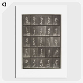 2-48_Eadweard-Muybridge_picture