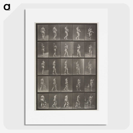 2-48_Eadweard-Muybridge_picture
