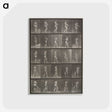 2-48_Eadweard-Muybridge_postcard