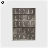 アートポストカード-Child in Motion
 - エドワード マイブリッジ Postcard.