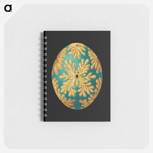 アートメモ帳-Colorful vintage tunicate marine life illustration - エルンスト ヘッケル Memo.