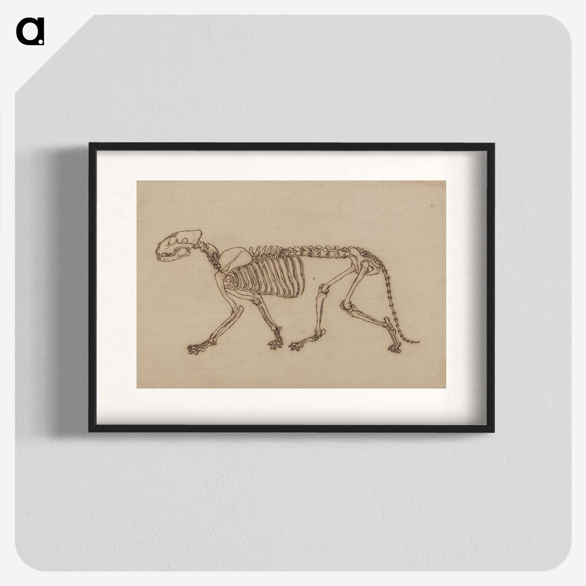 2-48_George-Stubbs_blk
