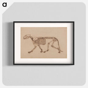 アートポスター-Tiger Skeleton, Lateral View
 - ジョージ スタッブス Poster.