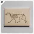 2-48_George-Stubbs_canvas