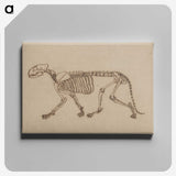 2-48_George-Stubbs_canvas