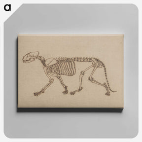 2-48_George-Stubbs_canvas