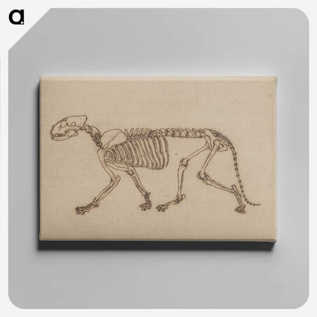 2-48_George-Stubbs_canvas