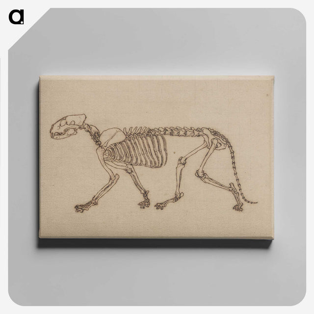 2-48_George-Stubbs_canvas
