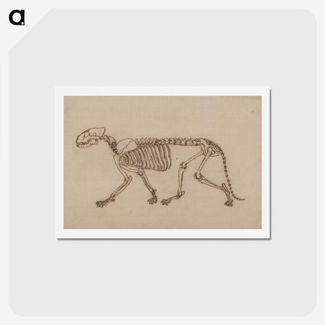 2-48_George-Stubbs_hagaki