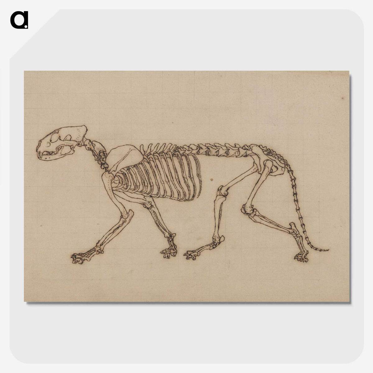 2-48_George-Stubbs_picture-crop
