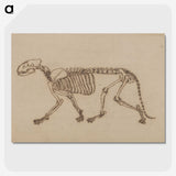 2-48_George-Stubbs_picture-crop