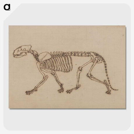 2-48_George-Stubbs_picture-crop