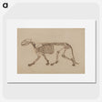 2-48_George-Stubbs_picture