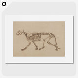 2-48_George-Stubbs_picture