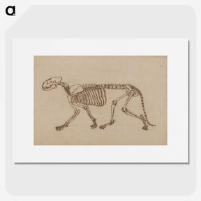 2-48_George-Stubbs_picture