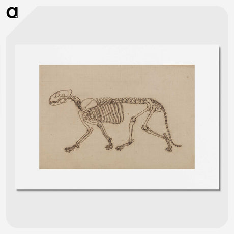 2-48_George-Stubbs_picture