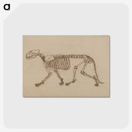 2-48_George-Stubbs_postcard