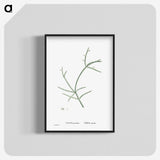 2-48_Histoire-des-Plantes-Grasses_blk-crop