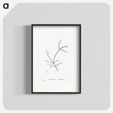 2-48_Histoire-des-Plantes-Grasses_blk