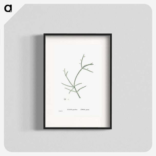 2-48_Histoire-des-Plantes-Grasses_blk