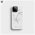 2-48_Histoire-des-Plantes-Grasses_phone