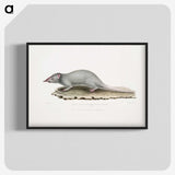 2-48_Indian-Zoology_blk-crop