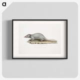 2-48_Indian-Zoology_blk