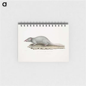 2-48_Indian-Zoology_memo