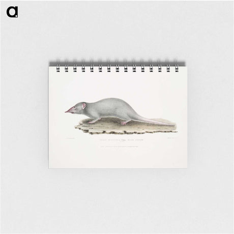 2-48_Indian-Zoology_memo