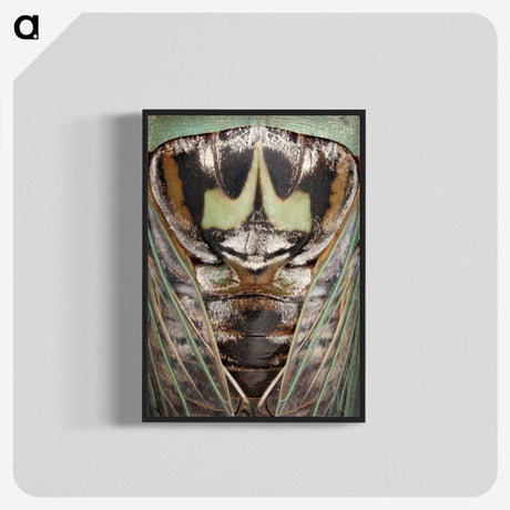 2-48_Insects-Unlocked-Project_blk-crop