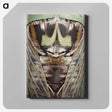 2-48_Insects-Unlocked-Project_canvas