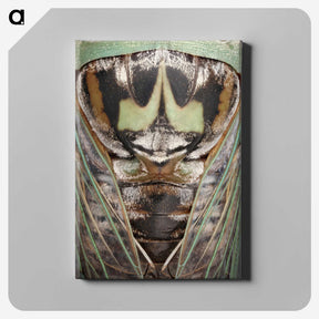 2-48_Insects-Unlocked-Project_canvas
