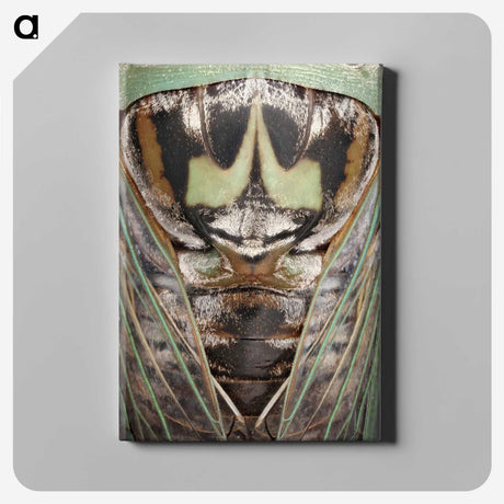 2-48_Insects-Unlocked-Project_canvas